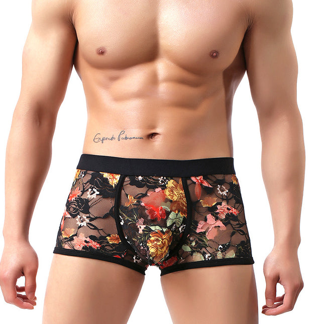 European And American Men's Sexy Underwear U Convex Transparent